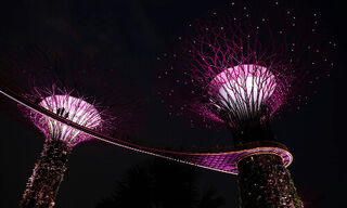 Gardens by the Bay in Singapore (Image: Alvin Chin, Pexels)