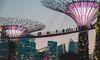 Singapore Fintechs «Exceedingly Optimistic» on Growth Prospects