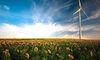 ING: APAC on Track for Record Year in Sustainable Finance