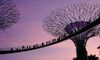 Singapore Runs Mass Scam and Laundering Probe