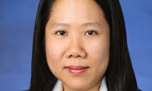 Adeline Ng, Aviva Investors