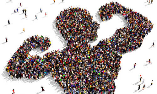 Asset Management 518