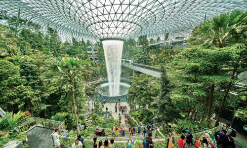 Forest Valley, Singapore Changi Airport Terminal (Image: Changi Airport Group)