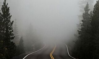 (Picture: Unsplash / Katie Moum)