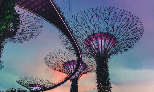 Gardens by the Bay in Singapore (Image: Victor, Unsplash)