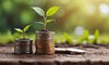 SFI: Family Offices Target Asia for Sustainable Investments