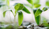 Private Capital Platform Gets Funding for Expansion 