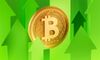 Bitcoin Roars Back as Crypto Rally Gathers Steam
