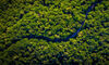 Singapore Fintech Partners BNP for Impact Investment