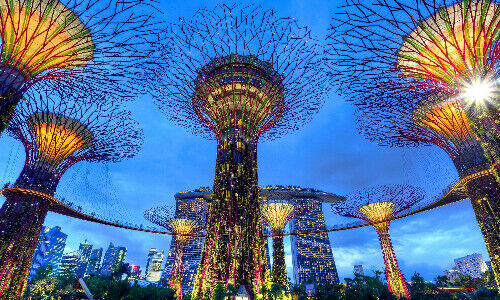 Gardens by the Bay, Singapore (Image: Duy Nguyen, Unsplash))