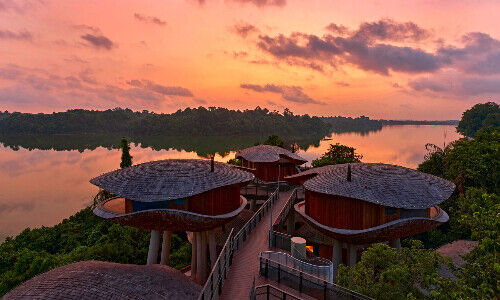 Mandai Rainforest Resort in Singapore (Image: Banyan)