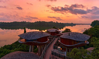 Mandai Rainforest Resort in Singapore (Image: Banyan)
