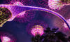 SG60: Where Finance Meets – Happy Birthday Singapore