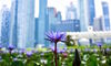 WWF: Asia Wealth Revenue Hits $90 Billion by 2025