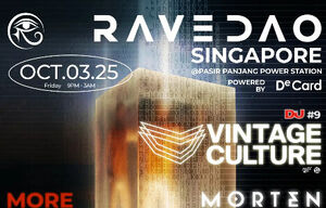 RaveDAO Singapore (Image: supplied)