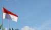 Gemini: Indonesia Leads Global Crypto Adoption