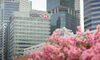 HSBC Nets Ex-Lombard Odier Executive for Singapore