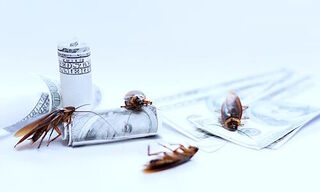 (Image: Shutterstock)