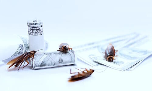 (Image: Shutterstock)