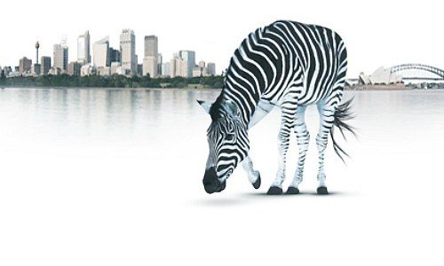 UBS, world's largest wealth manager, competition local, DBS, Itau, Investec