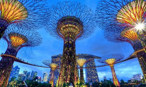 Gardens by the Bay (Image: Duy Nguyen, Unsplash)