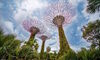 Singapore's Asset Management Industry Hits Record High