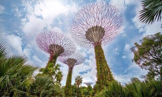 Gardens by the Bay, Singapore (Image: Pixabay)