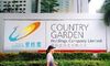 Country Garden Denies Claims of Fleeing Executives