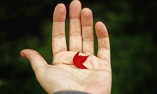 ksenia makagonova 528