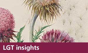 LGT Insights